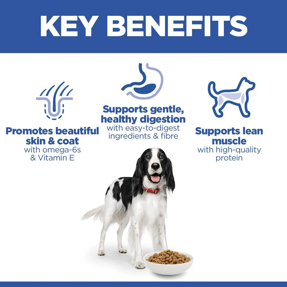 Hills Science Plan Medium Breed Adult Dry Dog Food - Chicken - Image 3