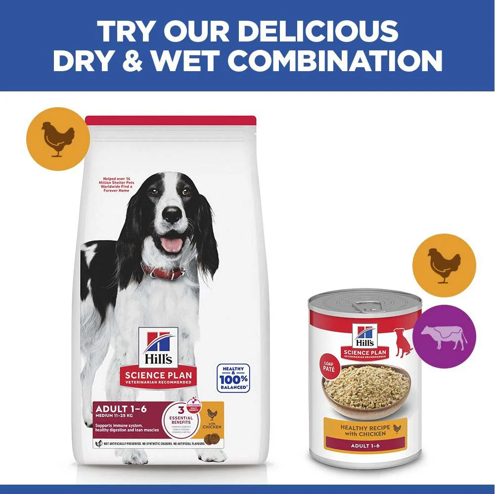 Hills Science Plan Medium Breed Adult Dry Dog Food - Chicken - Image 5