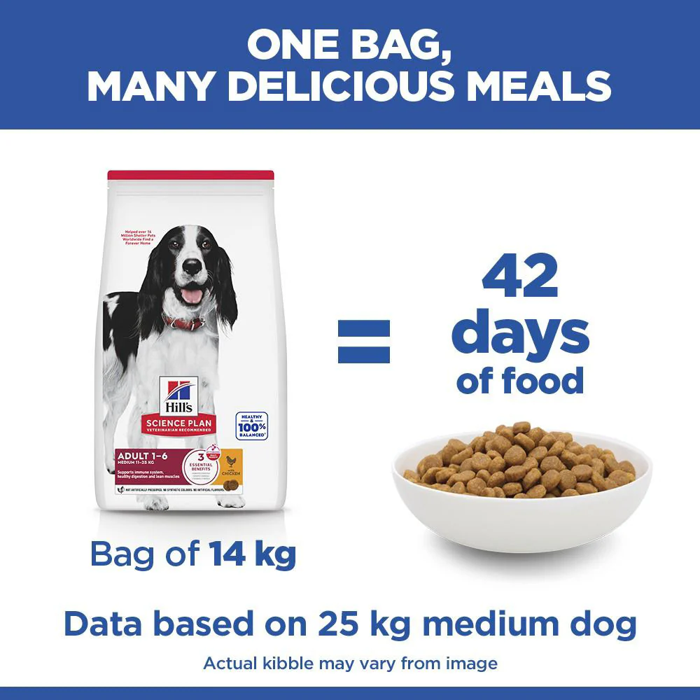 Hills Science Plan Medium Breed Adult Dry Dog Food - Chicken - Image 6