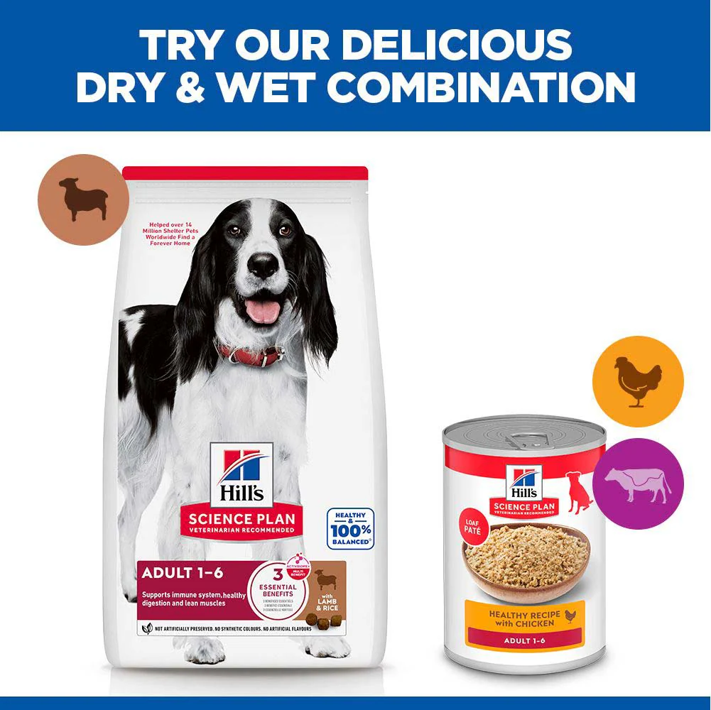 Hills Science Plan Medium Breed Adult Dry Dog Food - Lamb & Rice - Image 5