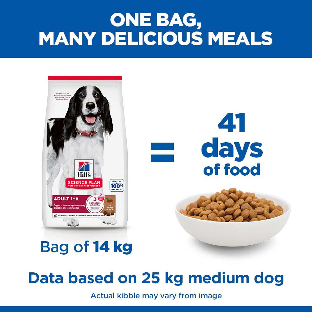 Hills Science Plan Medium Breed Adult Dry Dog Food - Lamb & Rice - Image 6