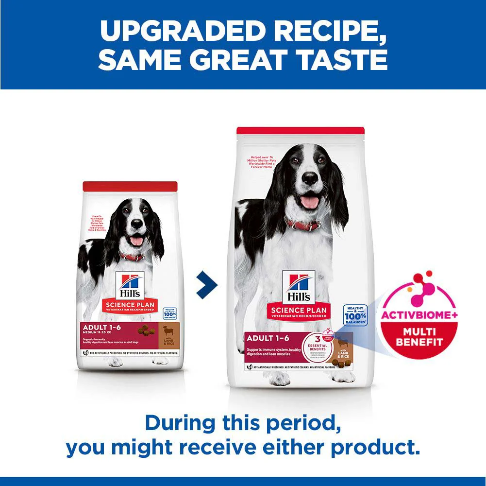 Hills Science Plan Medium Breed Adult Dry Dog Food - Lamb & Rice - Image 7
