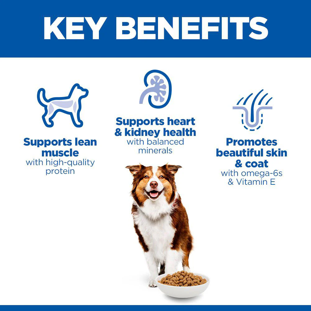 Hills Science Plan Medium Breed Mature 7 Years+ Dry Dog Food - Chicken - Image 3