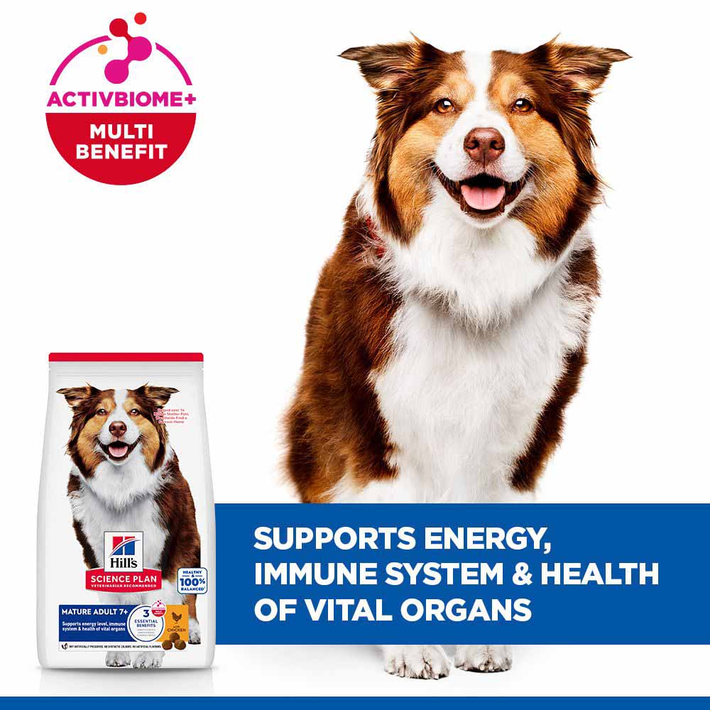 Hills Science Plan Medium Breed Mature 7 Years+ Dry Dog Food - Chicken - Image 4