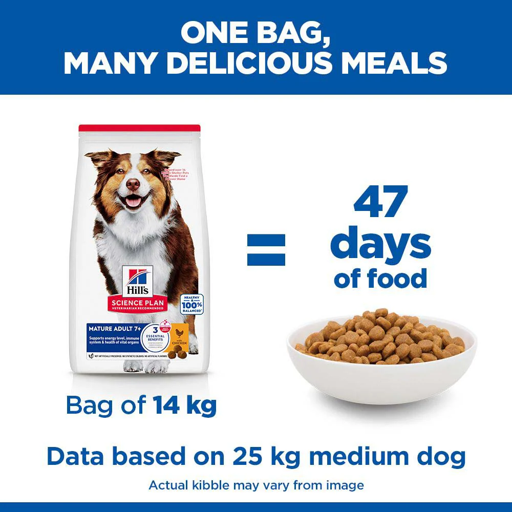 Hills Science Plan Medium Breed Mature 7 Years+ Dry Dog Food - Chicken - Image 6