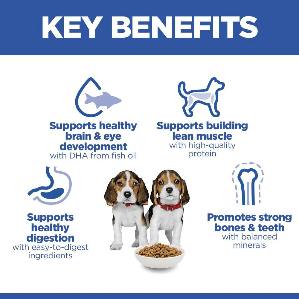Hills Science Plan Medium Breed Puppy Dry Dog Food - Chicken - Image 3