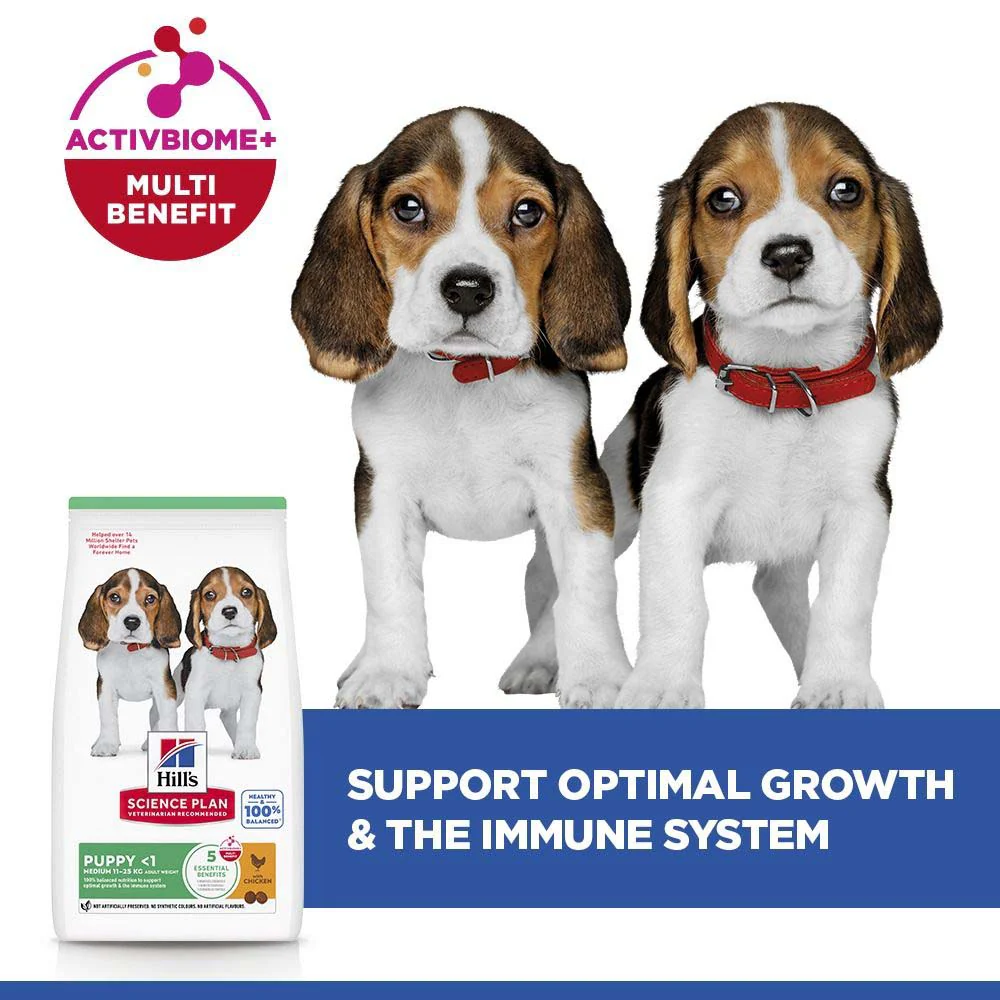 Hills Science Plan Medium Breed Puppy Dry Dog Food - Chicken - Image 4