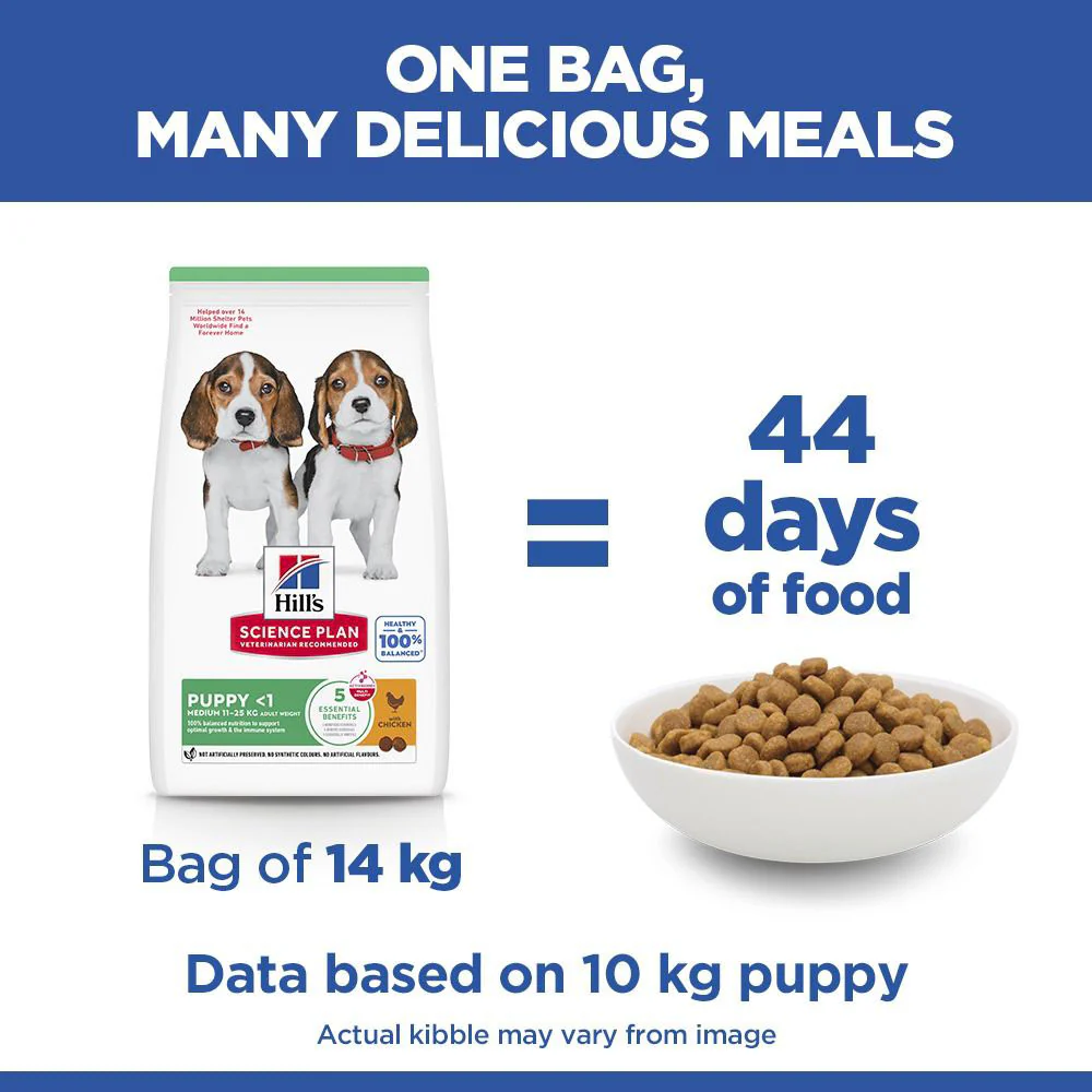 Hills Science Plan Medium Breed Puppy Dry Dog Food - Chicken - Image 5