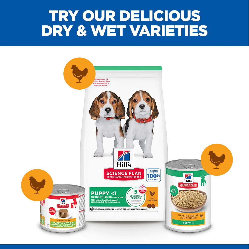 Hills Science Plan Medium Breed Puppy Dry Dog Food - Chicken - Image 6
