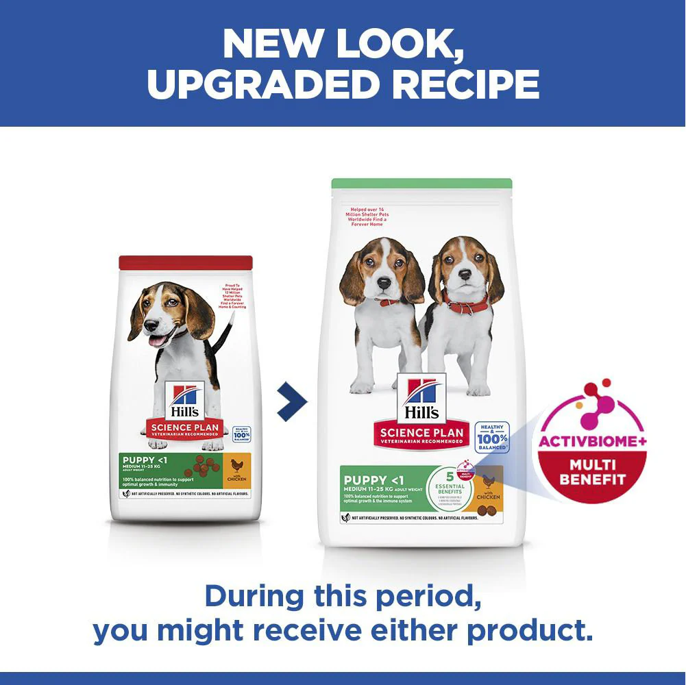 Hills Science Plan Medium Breed Puppy Dry Dog Food - Chicken - Image 8