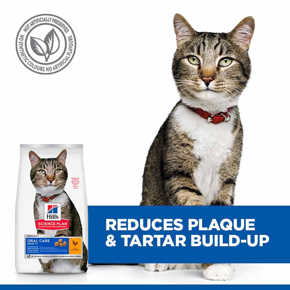 Hills Science Plan Oral Care Adult Dry Cat Food - Chicken - Image 4