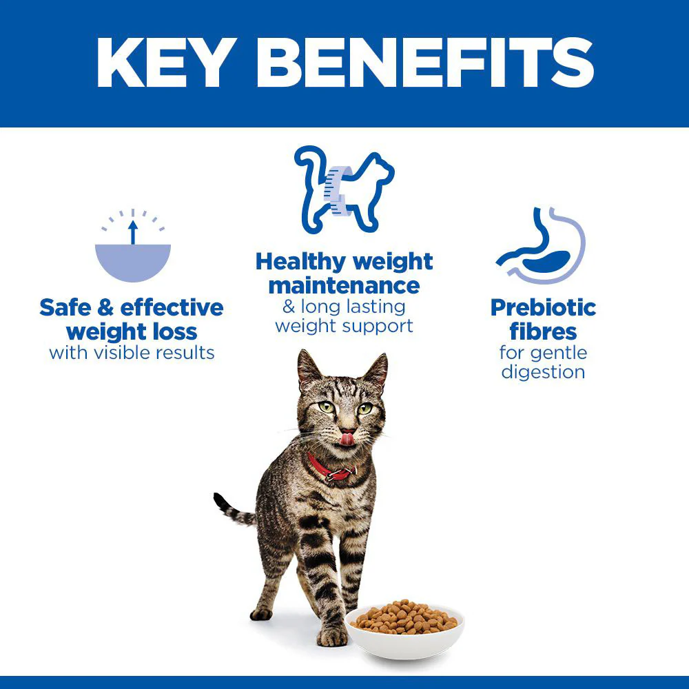 Hills Science Plan Perfect Weight Adult Dry Cat Food - Chicken - Image 3
