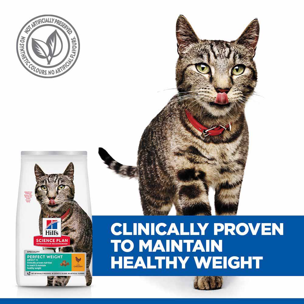 Hills Science Plan Perfect Weight Adult Dry Cat Food - Chicken - Image 4