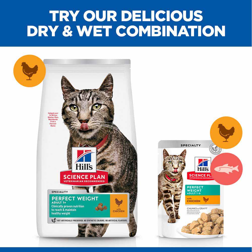 Hills Science Plan Perfect Weight Adult Dry Cat Food - Chicken - Image 6