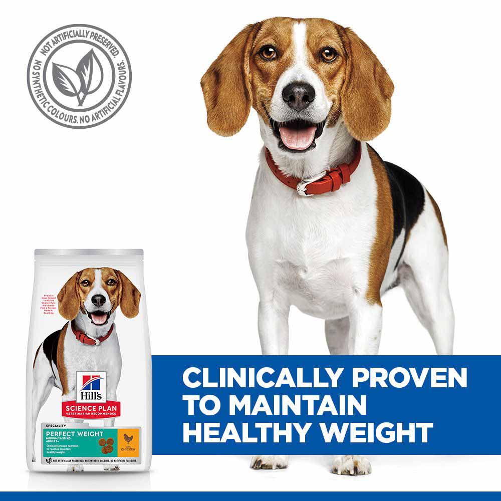 Hills Science Plan Perfect Weight Medium Breed Adult Dry Dog Food - Chicken - Image 4