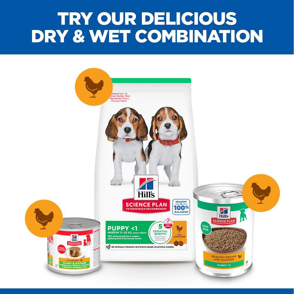 Hills Science Plan Puppy Wet Dog Food - Chicken - 12x370g Cans - Image 5