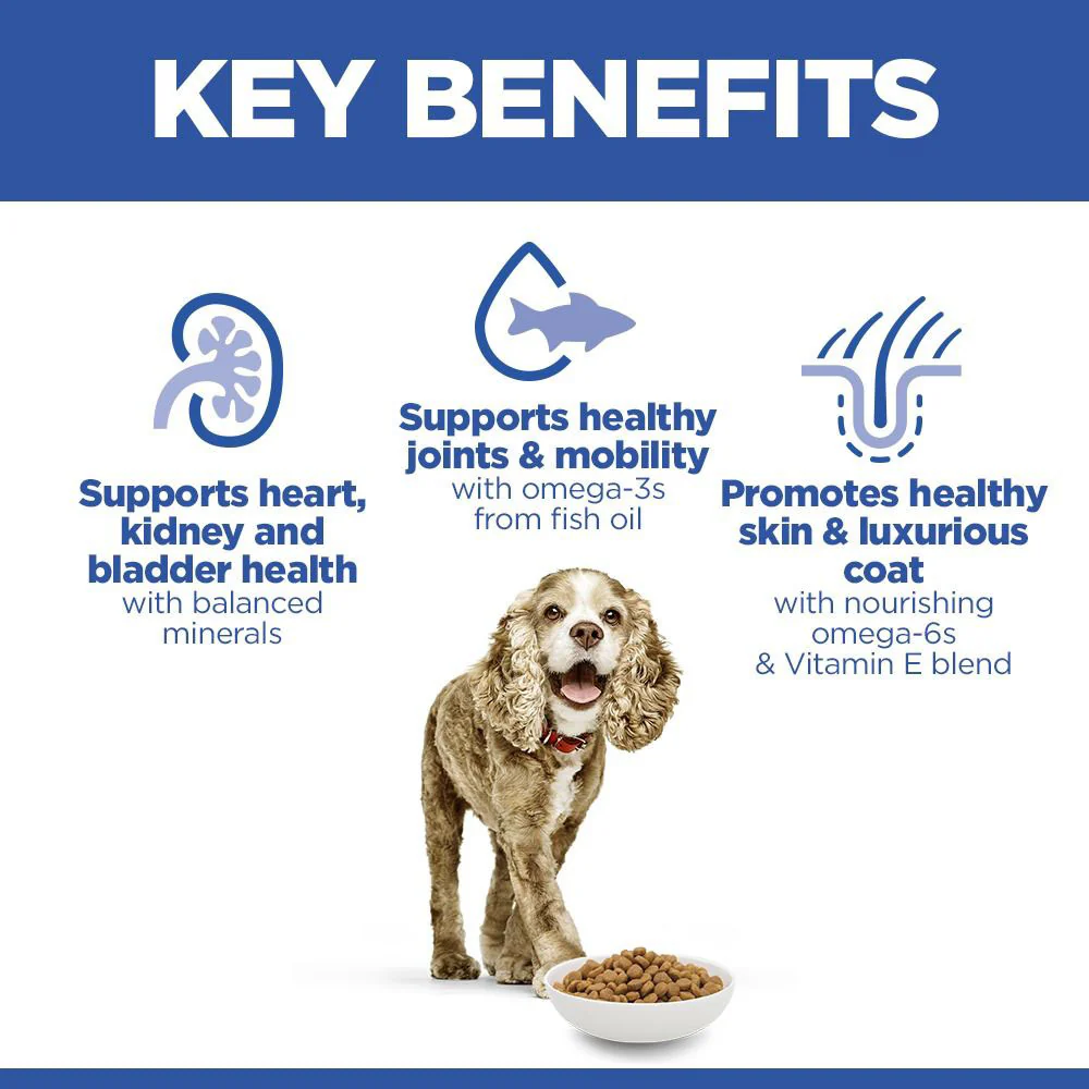 Hills Science Plan Senior 11+ Small & Miniature Dry Dog Food - Chicken & Turkey - Image 3