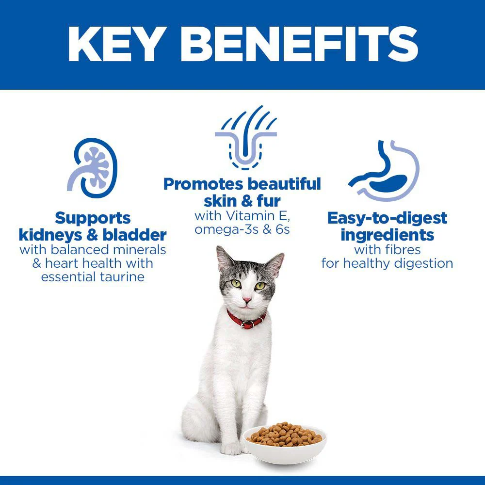 Hills Science Plan Senior Dry Cat Food - Chicken - Image 3