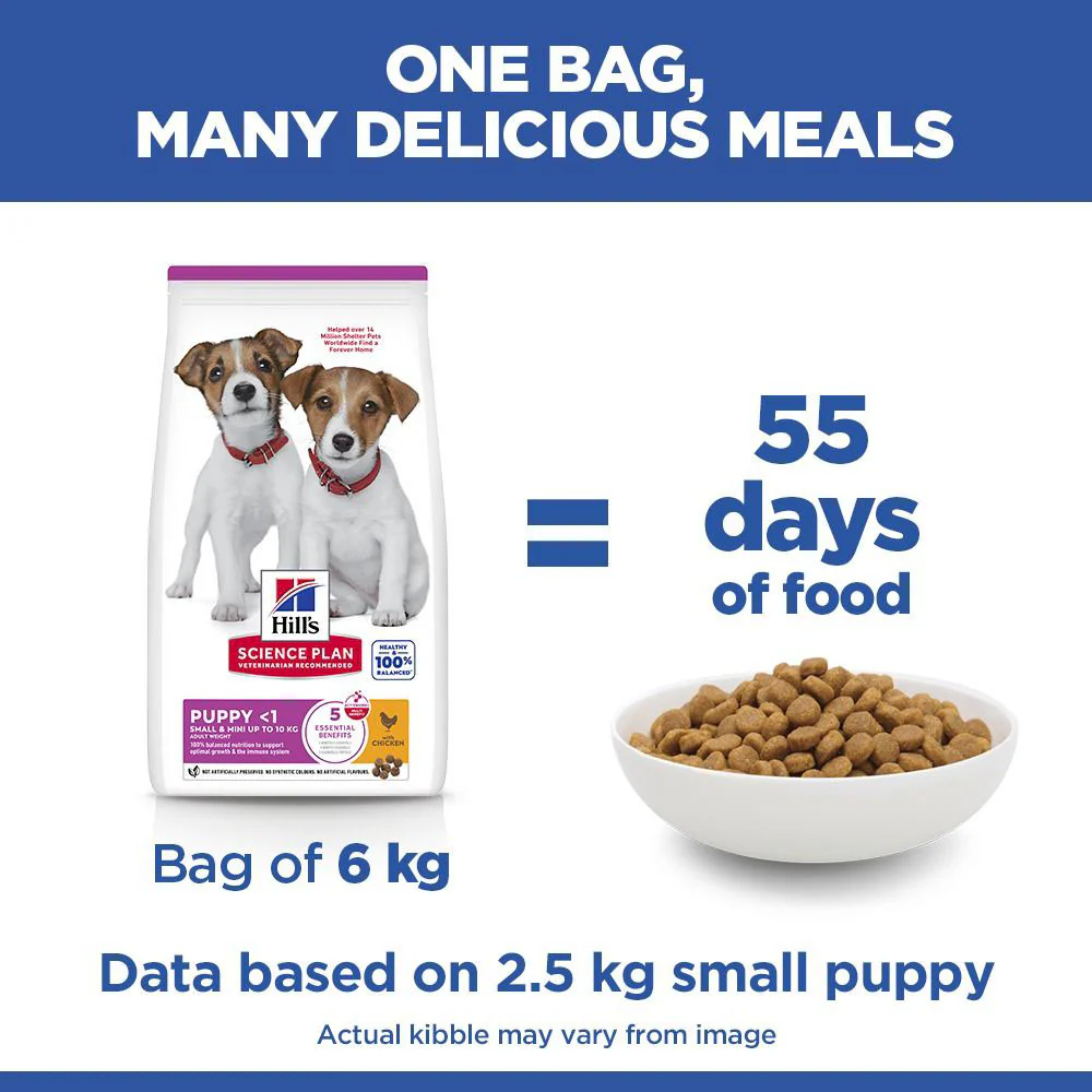Hills Science Plan Small & Miniature Puppy Dry Dog Food - Image 5