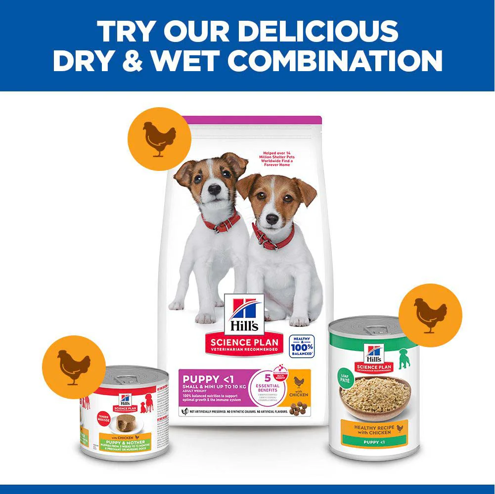 Hills Science Plan Small & Miniature Puppy Dry Dog Food - Image 6