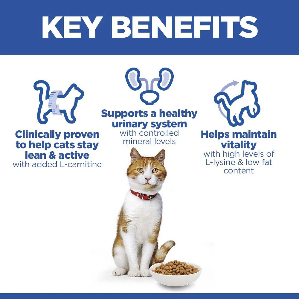Hills Science Plan Sterilised Adult Dry Cat Food - Salmon - Image 3