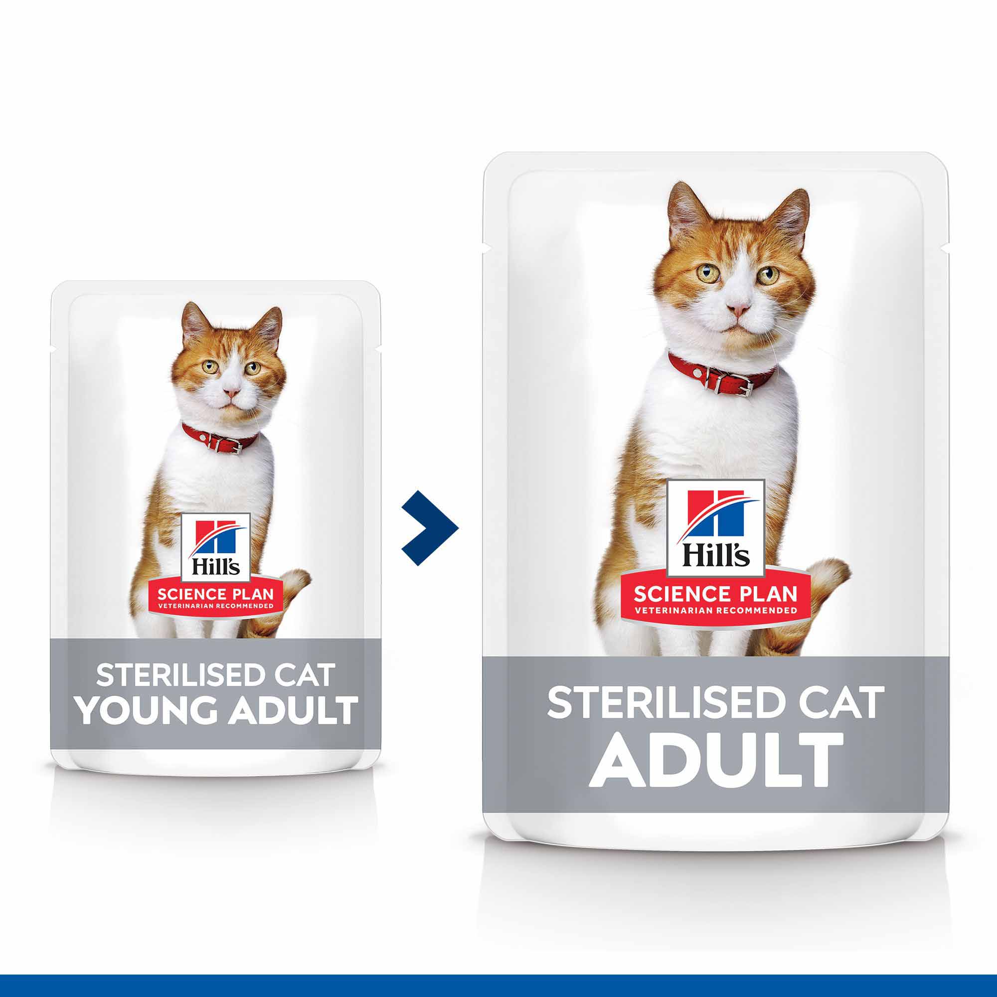 Hills Science Plan Sterilised Adult Wet Cat Food in Gravy - Multipack - 12x85g Pouches - Image 6