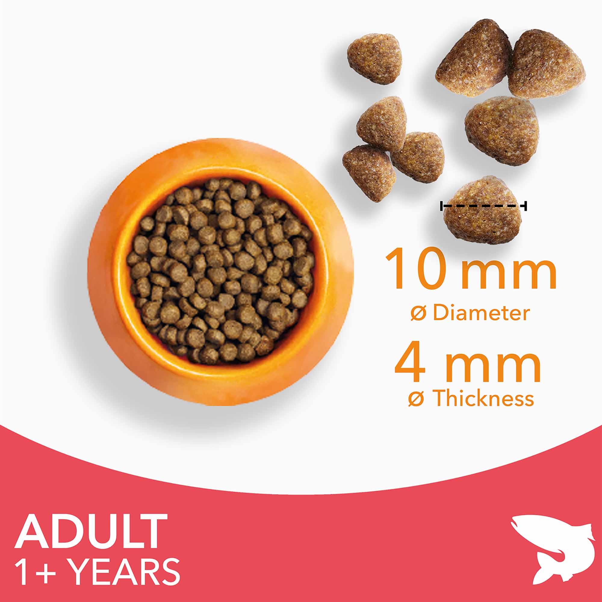 IAMS Adult Dry Cat Food - Salmon - Image 4