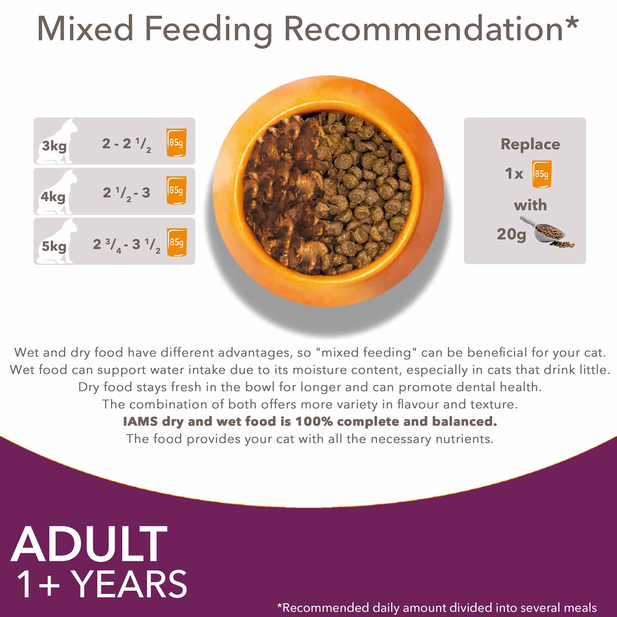 Iams Adult Wet Cat Food in Gravy - Land & Sea Collection - 12x85g Pouches - Image 8