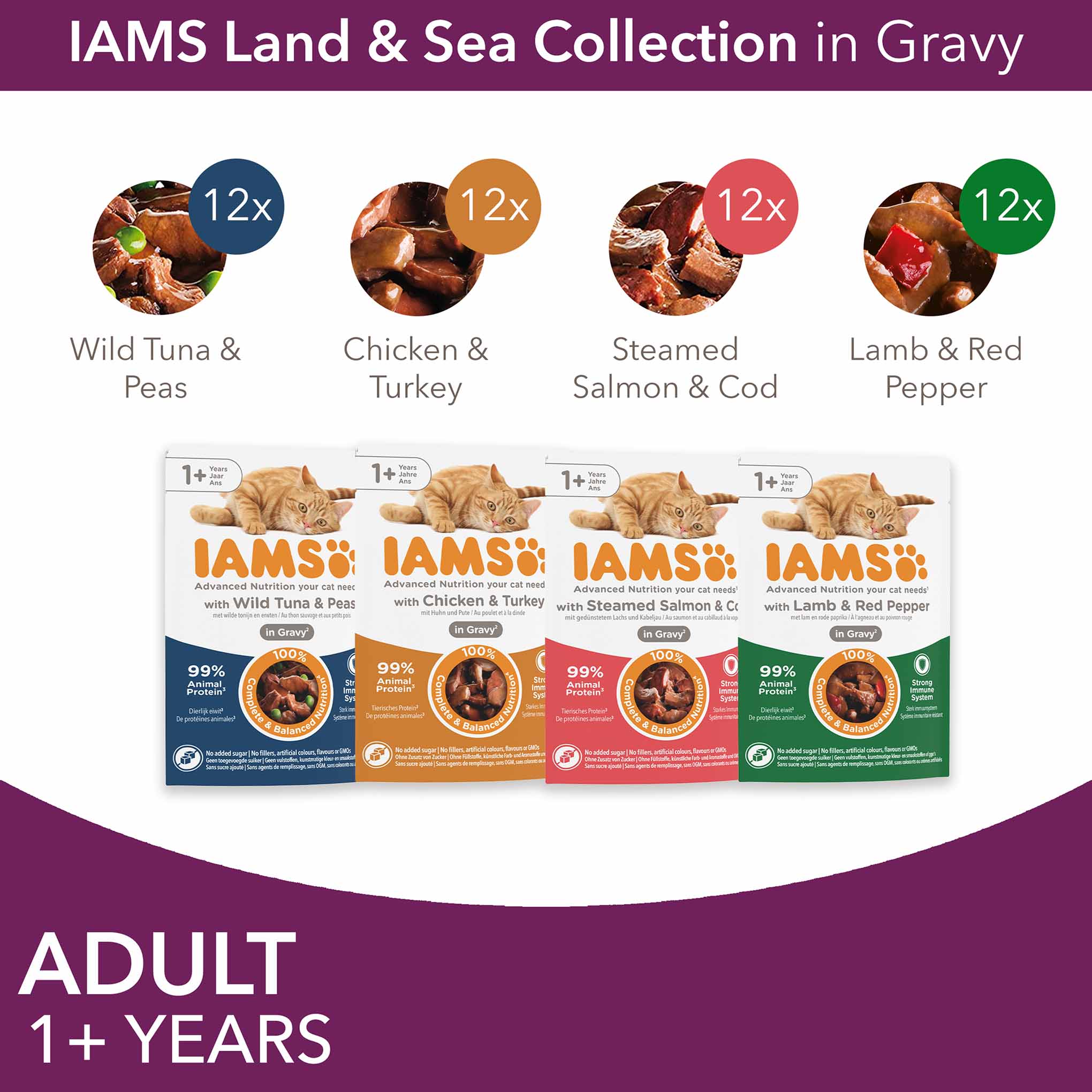 Iams Adult Wet Cat Food in Gravy - Land & Sea Collection - 48x85g Pouches - Image 4