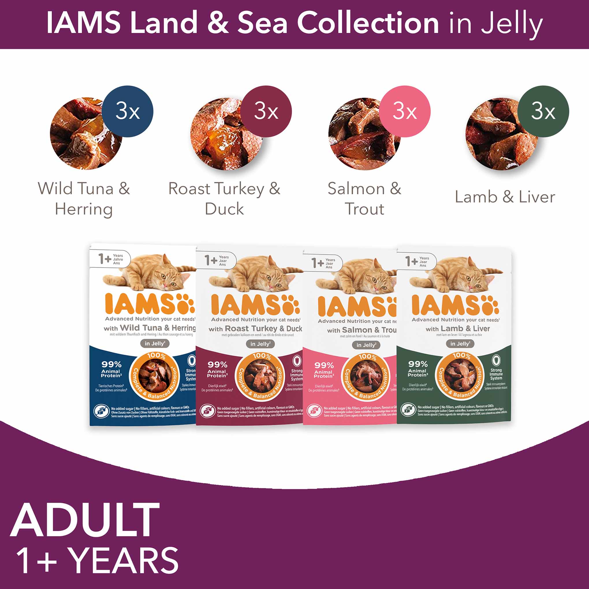 Iams Adult Wet Cat Food in Jelly - Land & Sea Collection - 12x85g Pouches - Image 4