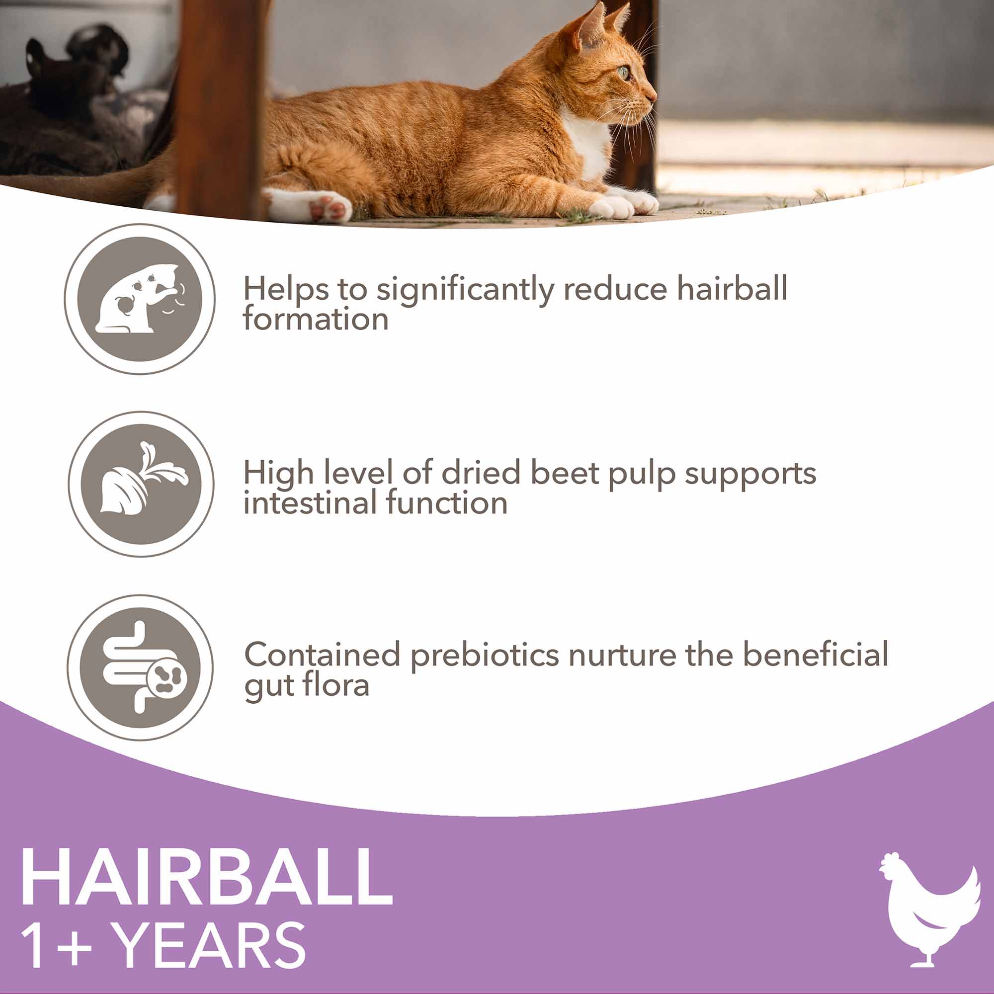 IAMS Hairball Dry Cat Food - Chicken - Image 3