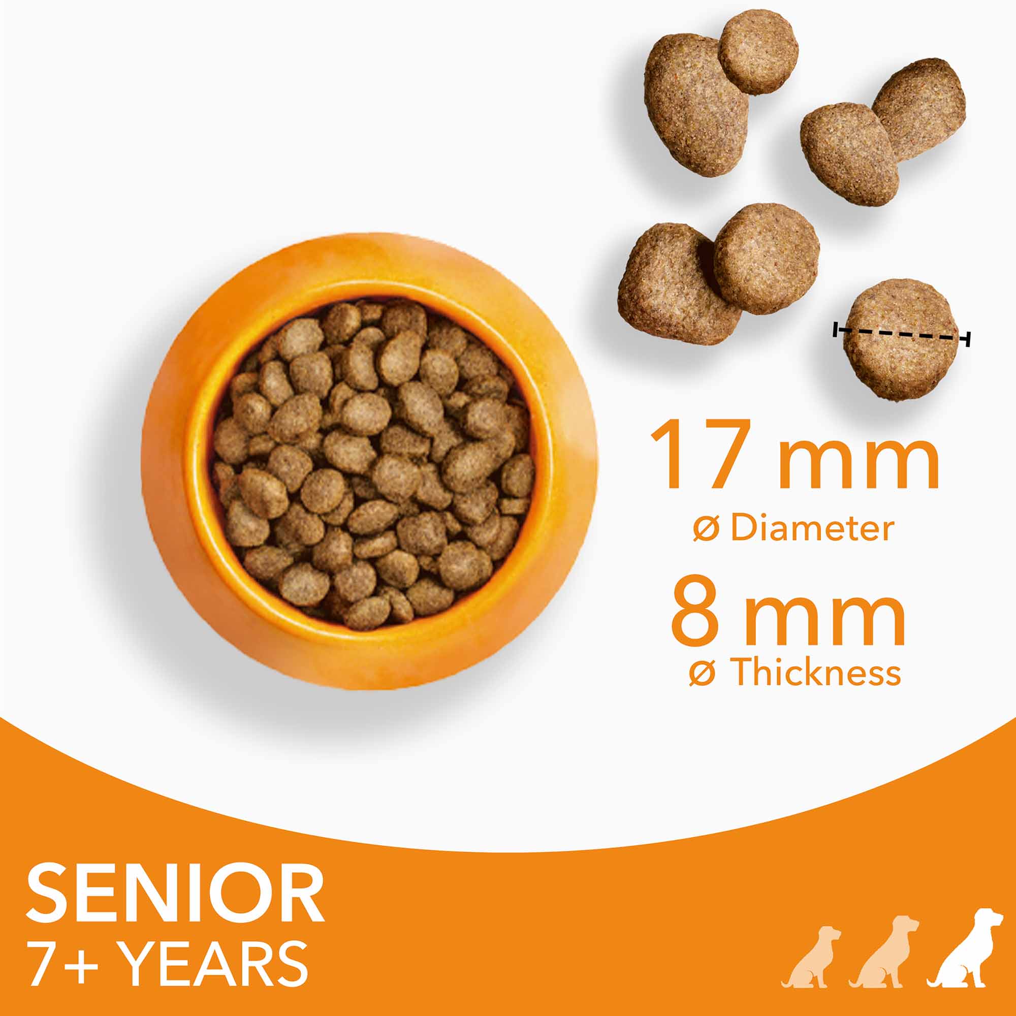 IAMS Large Breed Senior Dry Dog Food - Chicken - Image 3