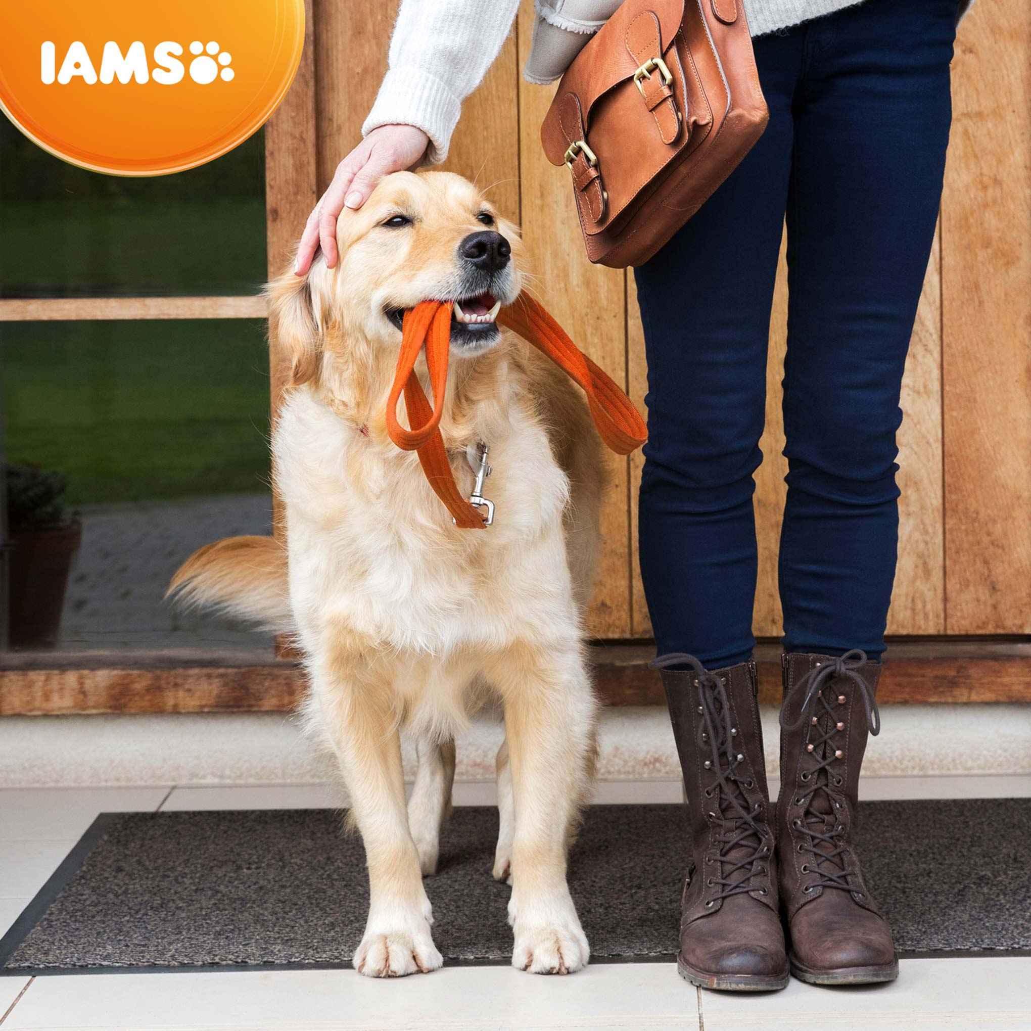 IAMS Large Breed Senior Dry Dog Food - Chicken - Image 7