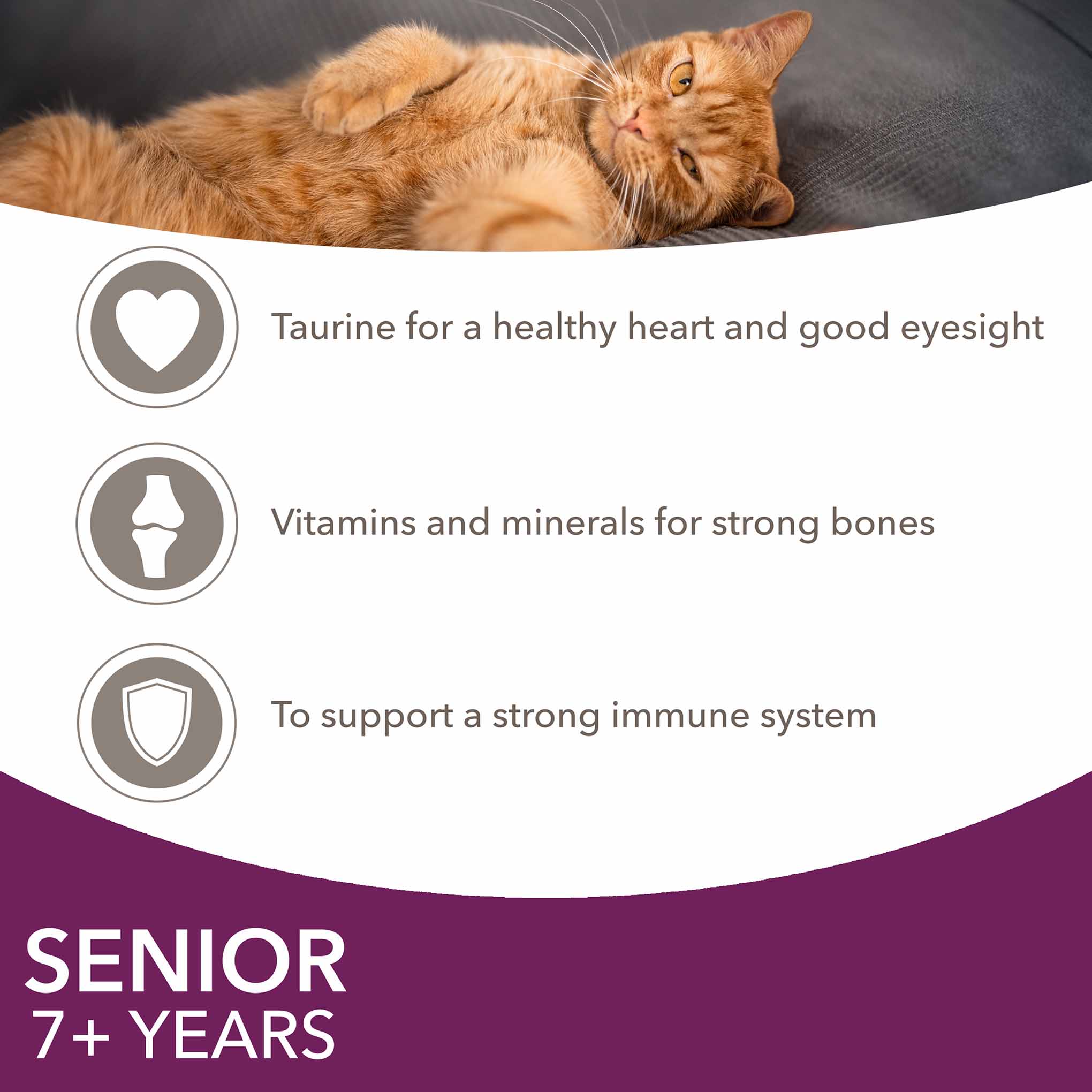 Iams Senior Wet Cat Food in Gravy - Land & Sea Collection - 8x85g Pouches - Image 5