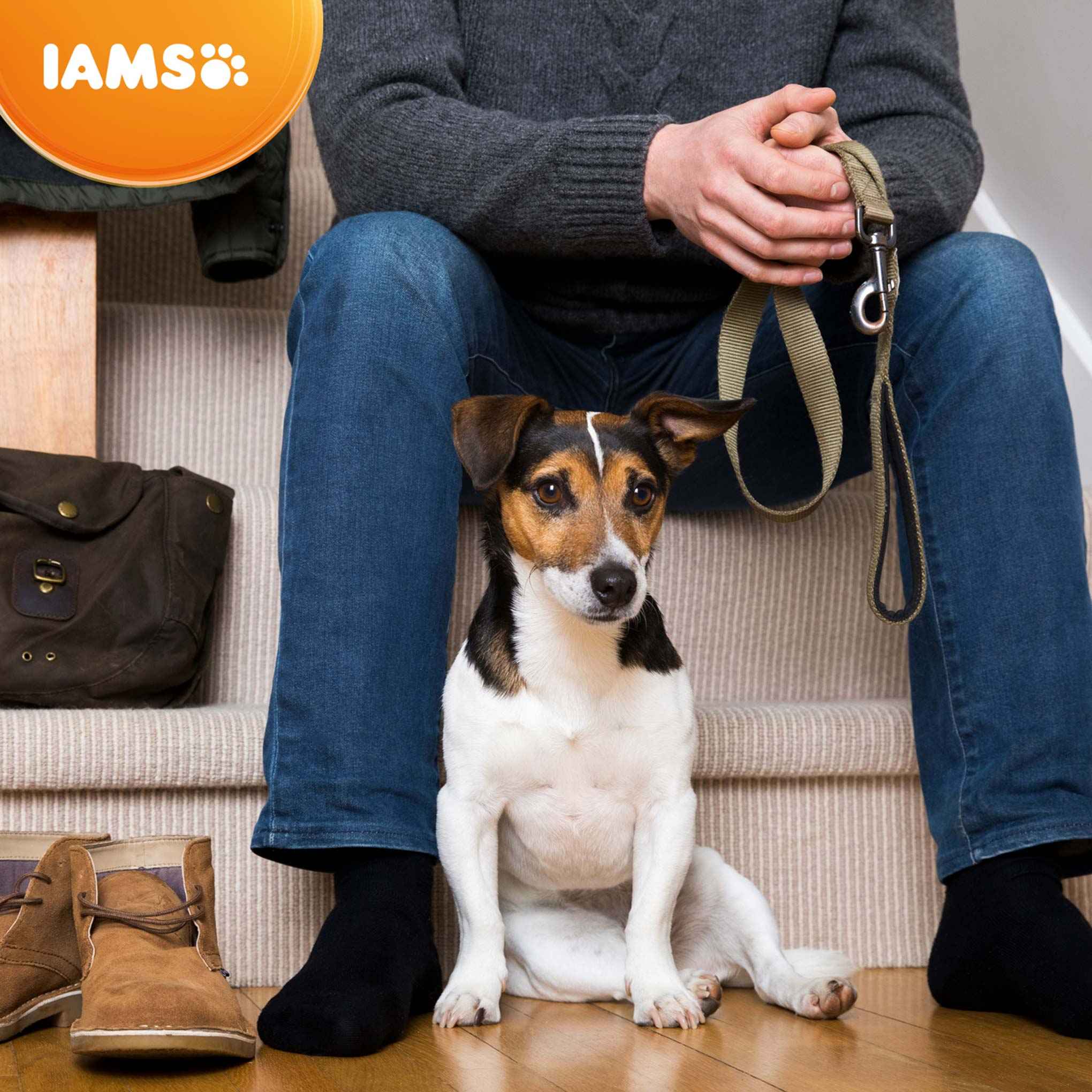 IAMS Small & Medium Breed Adult Dry Dog Food - Lamb - Image 9