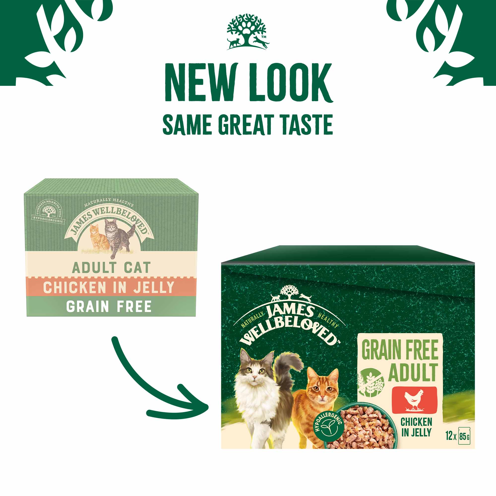 James Wellbeloved Adult Grain Free Wet Cat Food in Jelly - Chicken - 12x85g Pouches - Image 5