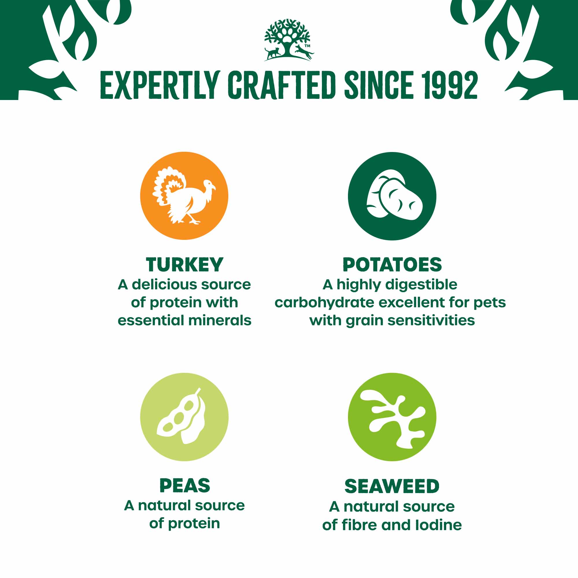 James Wellbeloved Grain Free Puppy Wet Dog Food in Gravy - Turkey - 12x90g Pouches - Image 5