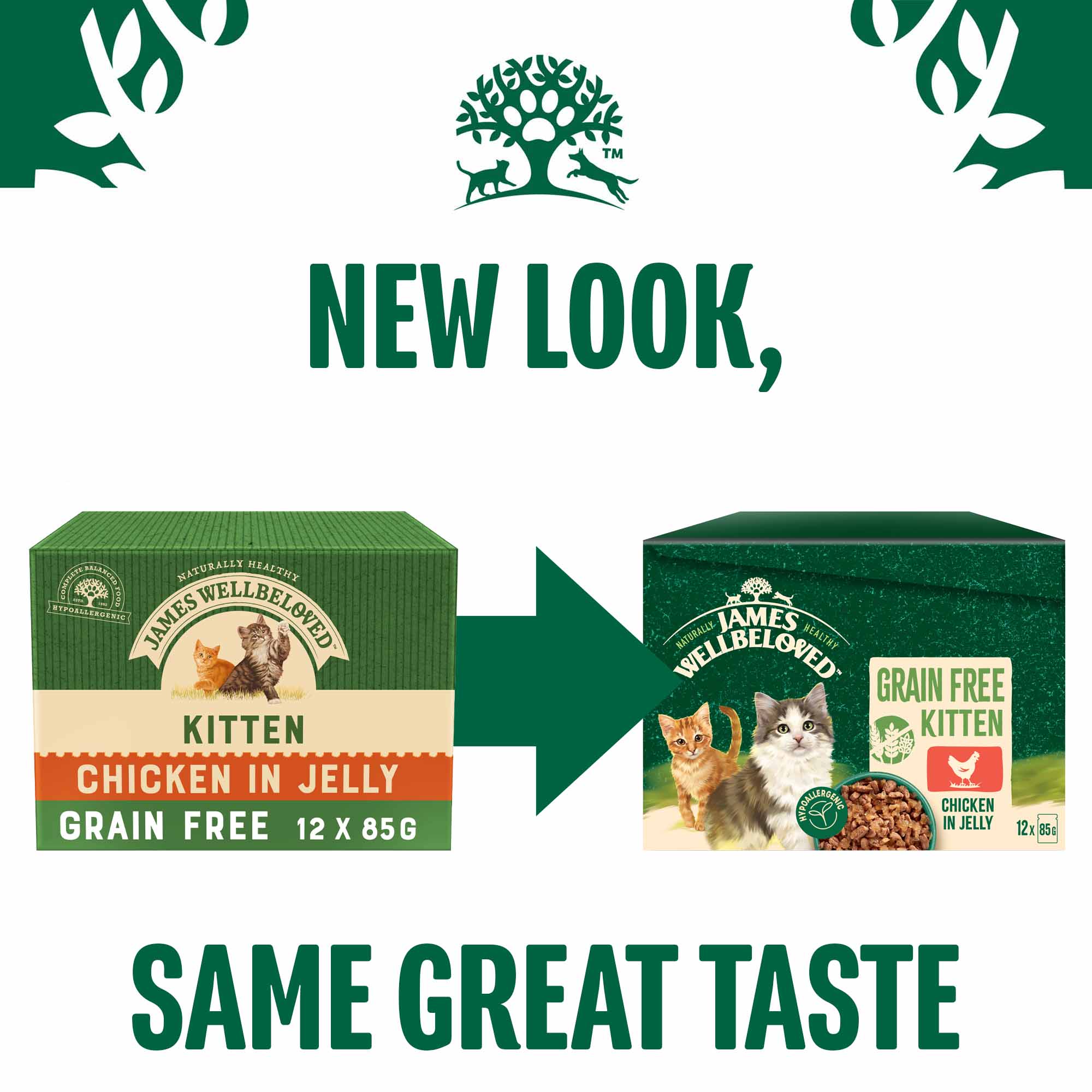James Wellbeloved Kitten Grain Free Wet Cat Food in Jelly - Chicken - 12x85g Pouches - Image 3