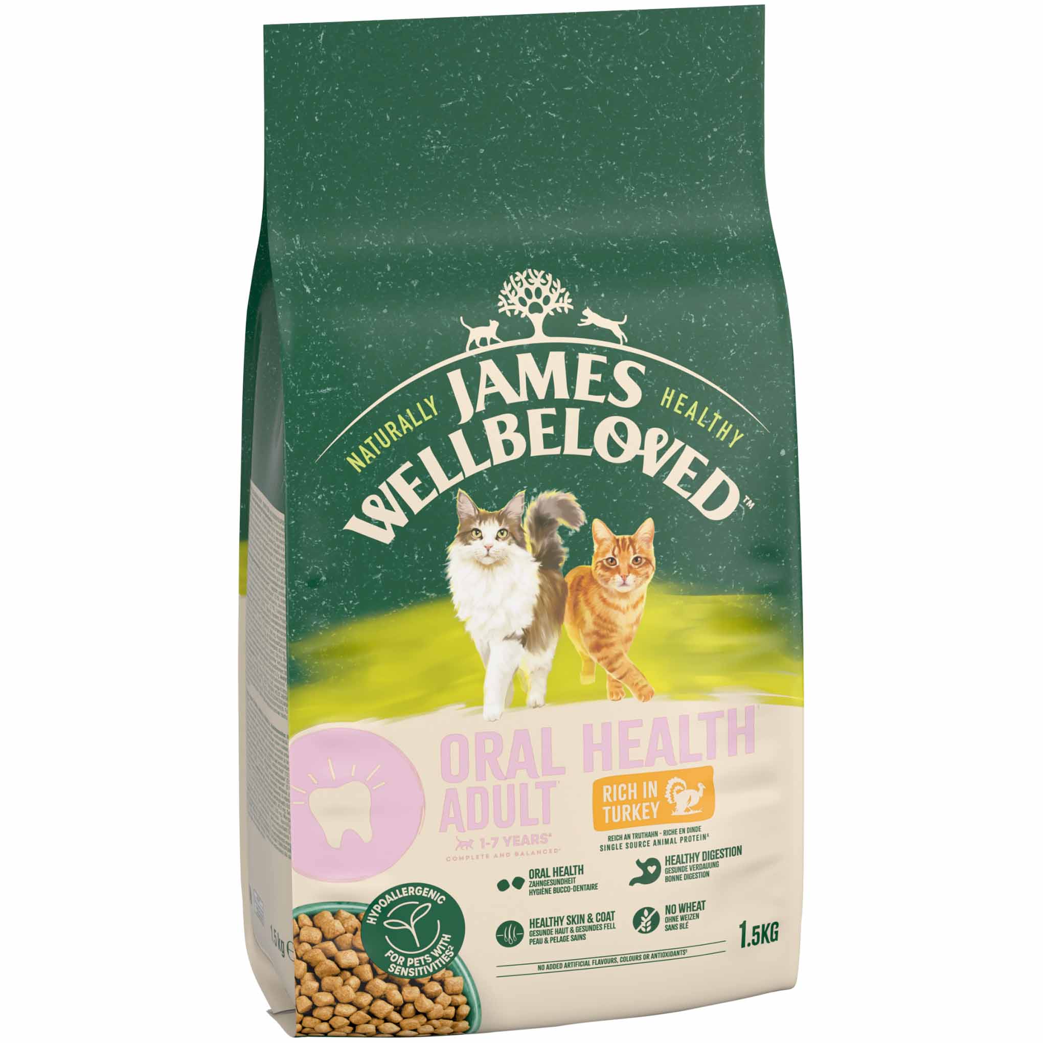 James Wellbeloved Oral Health Adult Dry Cat Food - Turkey - Image 3