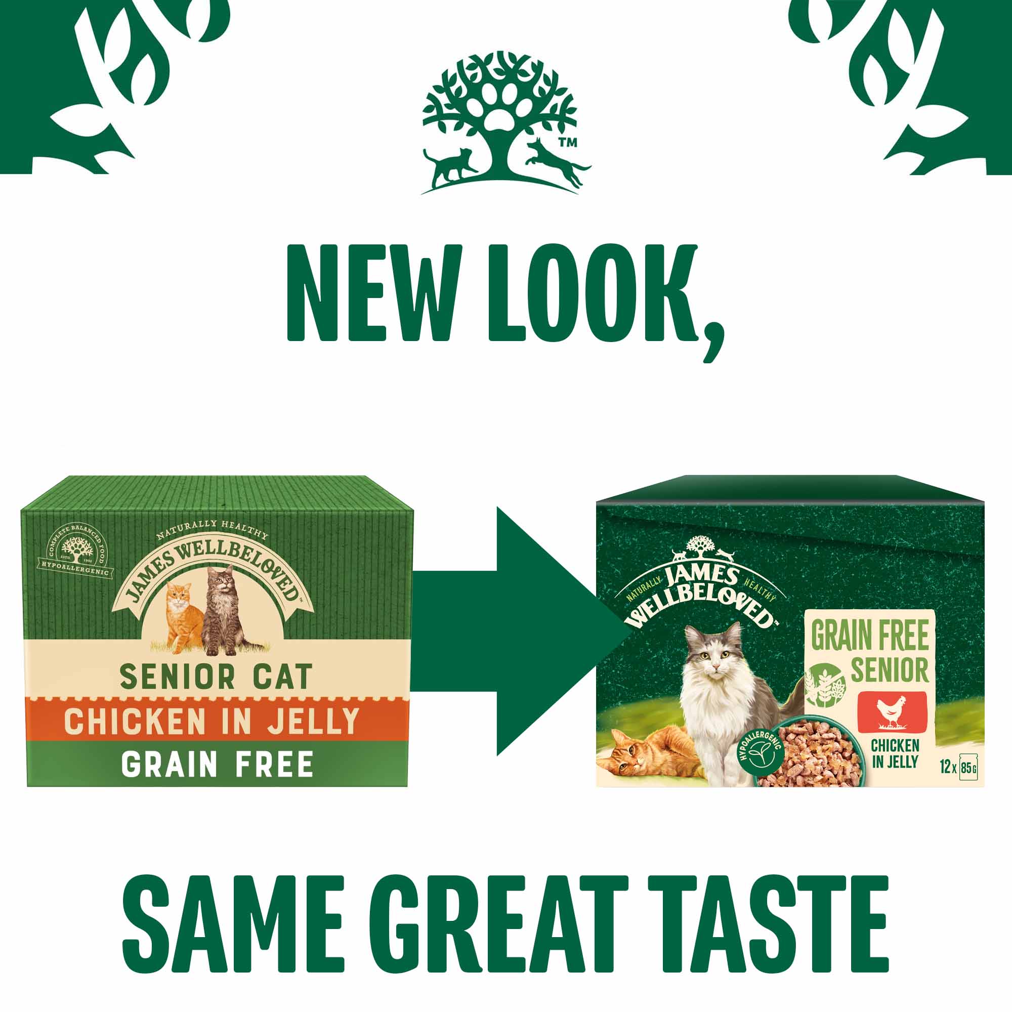 James Wellbeloved Senior Grain Free Wet Cat Food in Jelly - Chicken - 12x85g Pouches - Image 4