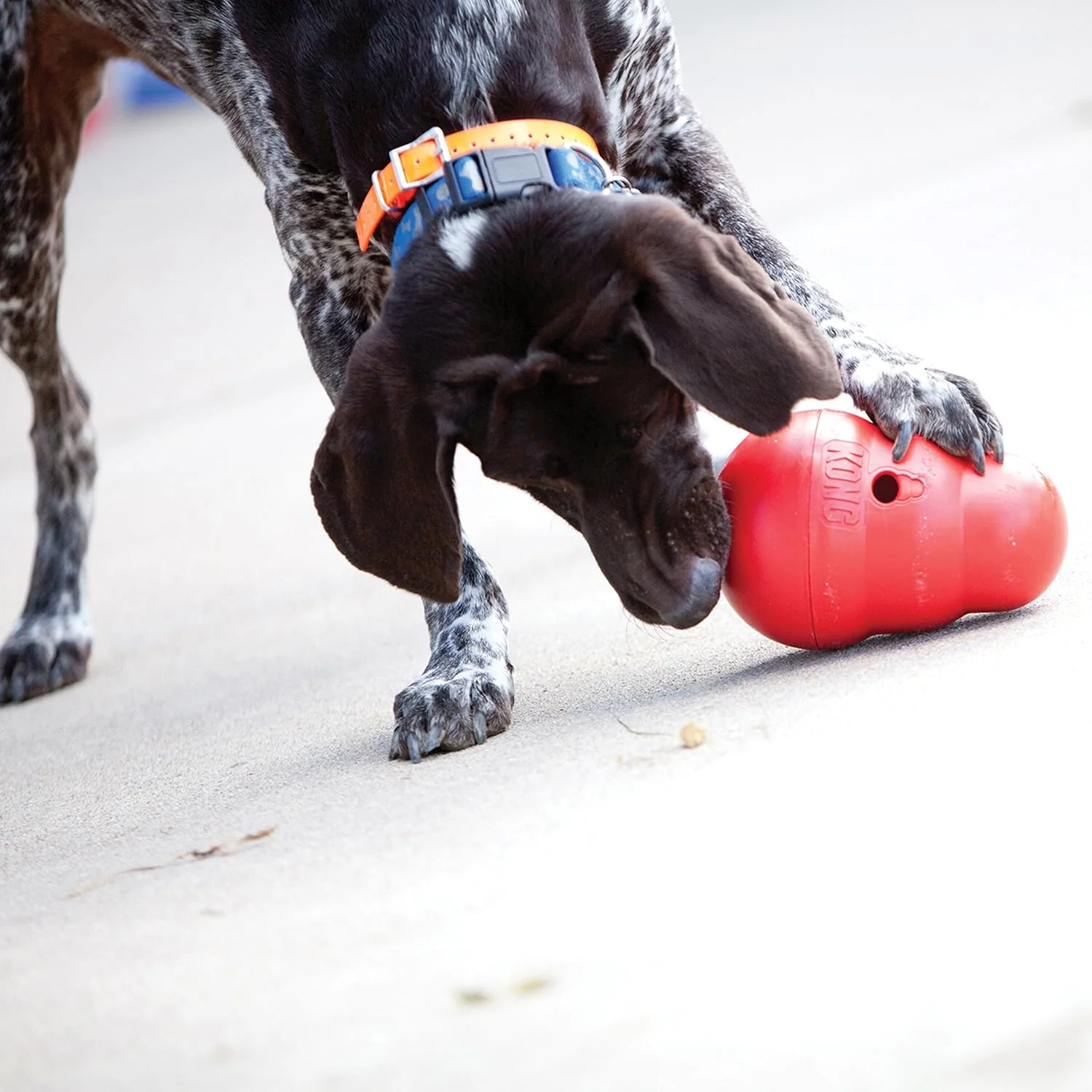 KONG Wobbler - Small - Image 2