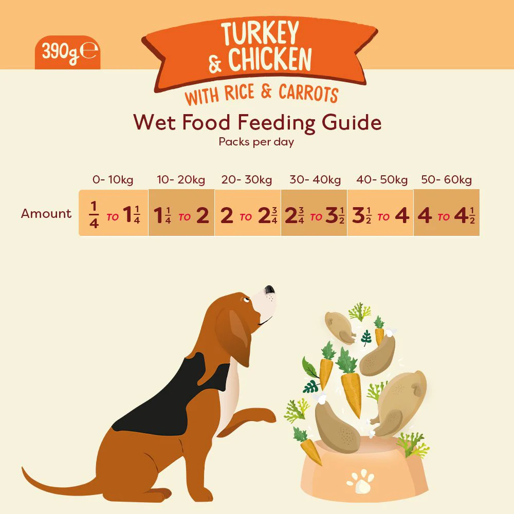 Naturediet Feel Good Adult Wet Dog Food - Turkey & Chicken - 18x390g Cartons - Image 5