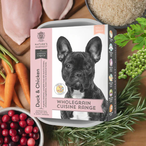 Natures Harvest Adult Wet Dog Food - Duck, Chicken & Brown Rice - 10x395g Trays - Image 5