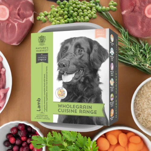 Natures Harvest Adult Wet Dog Food - Lamb & Brown Rice - 10x395g Trays - Image 5
