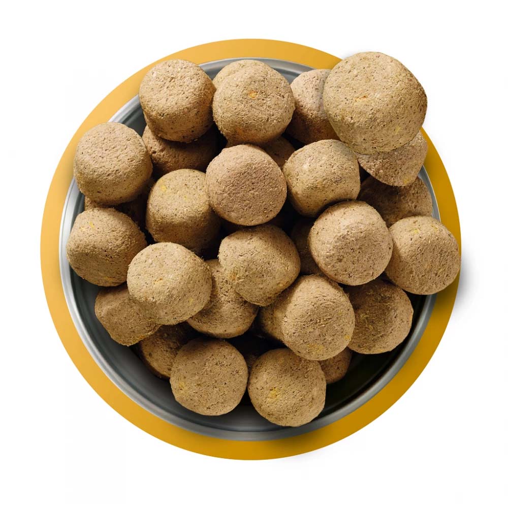 Natures Menu Complete & Balanced Freeze Dried Dog Food - Chicken Nuggets - 250g - Image 3