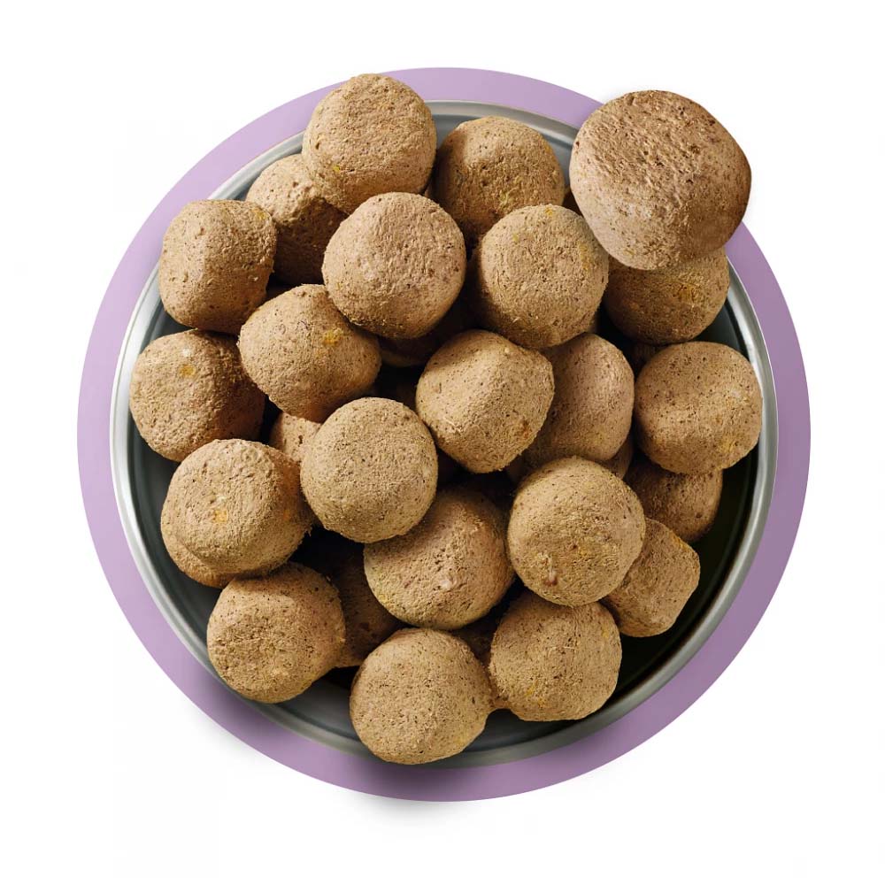 Natures Menu Complete & Balanced Freeze Dried Dog Food - Turkey Nuggets - 120g - Image 3