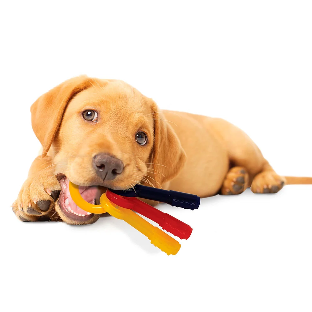 Nylabone Bacon Puppy Keys Chew - Small - Image 2