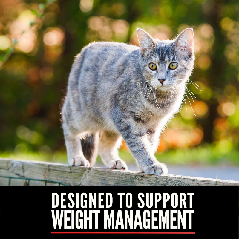 Orijen Fit & Trim Grain Free Dry Cat Food - Image 6