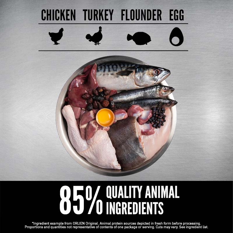 Orijen Original Grain Free Dry Dog Food - Image 7