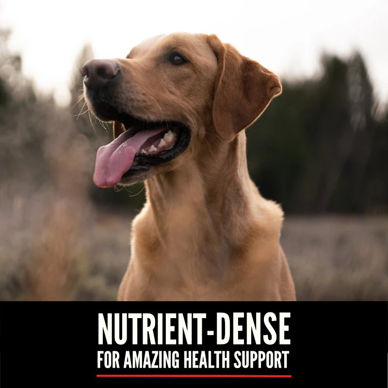Orijen Original Grain Free Dry Dog Food - Image 8